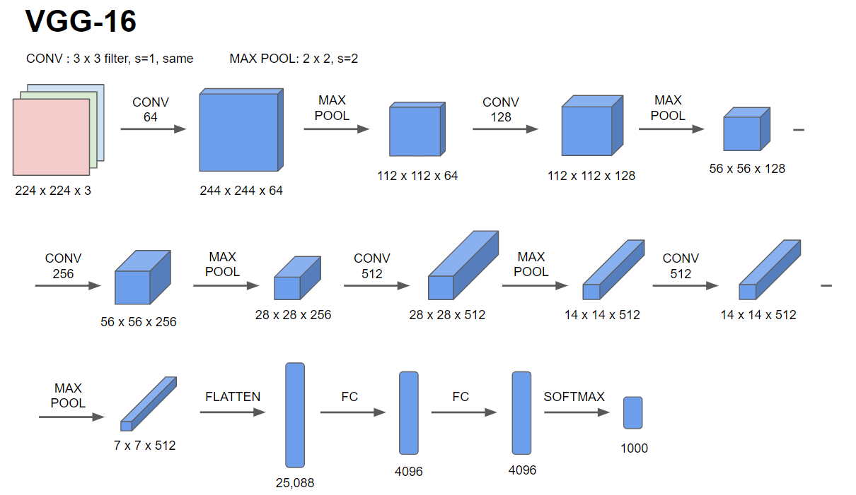 Deep Convolutional Models: Case Studies