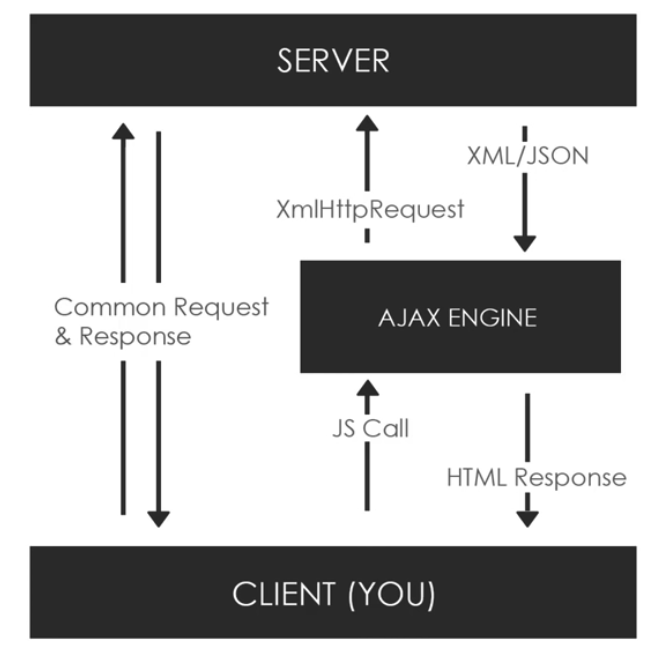Javascript - APIs and AJAX