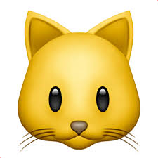 comment-user-thumbnail