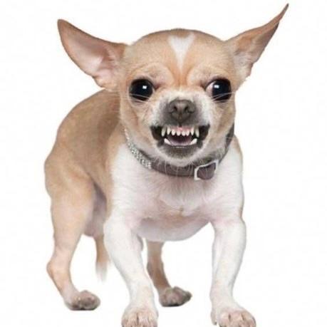 comment-user-thumbnail