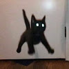 comment-user-thumbnail