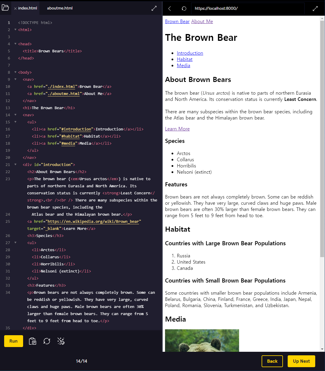 [HTML] 강의2. Codecademy-Learn HTML