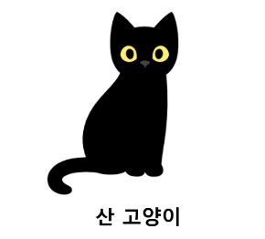 [C++] Software Component (1/2)