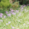 comment-user-thumbnail