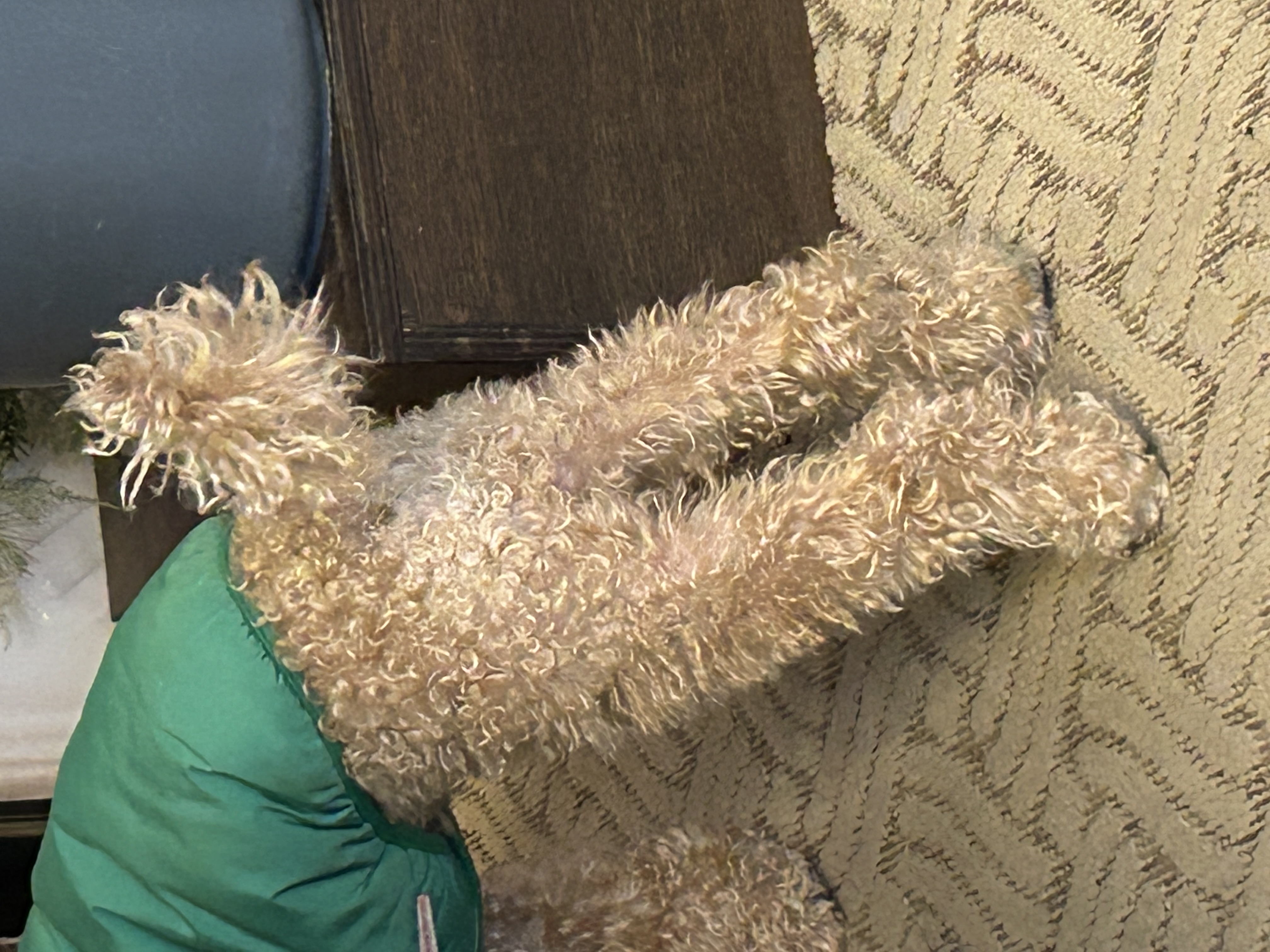 comment-user-thumbnail