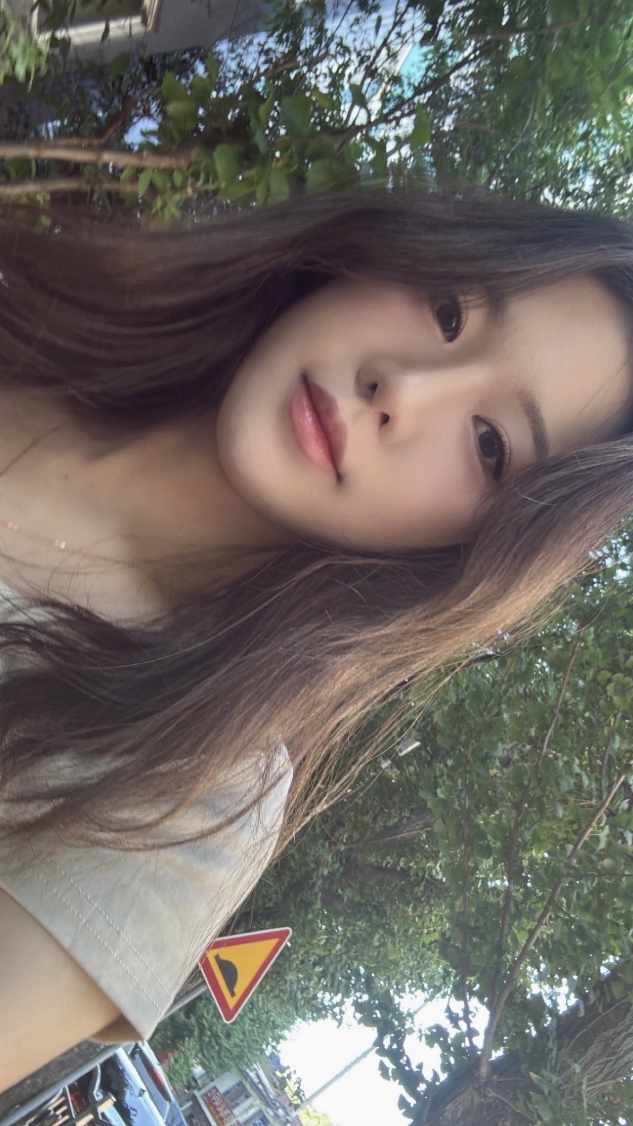 profile