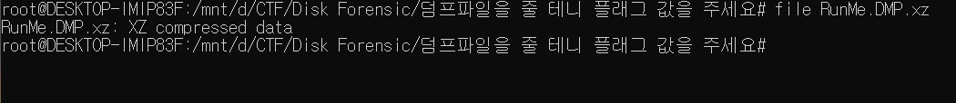 덤프파일 플래그.png