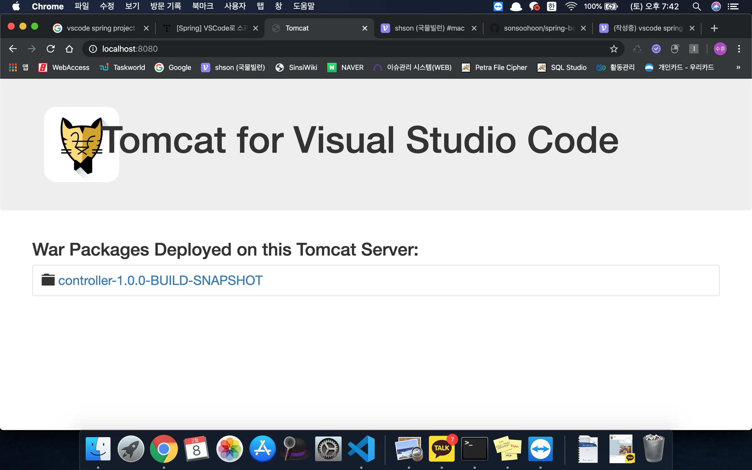 Vscode spring 